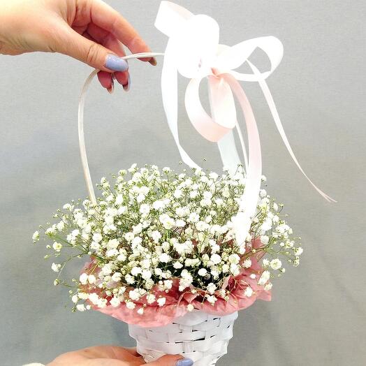 Cesta de gypsophila