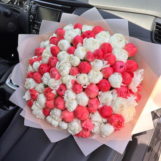 White Peonies and Coral Charm 101pcs