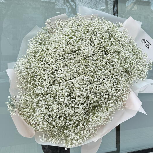 Gypsophila White Giant Bouquet 🤍