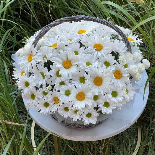 Корзина с ромашками и хризантемой