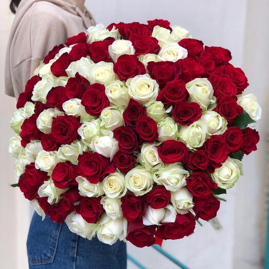 101 White   Red Rose