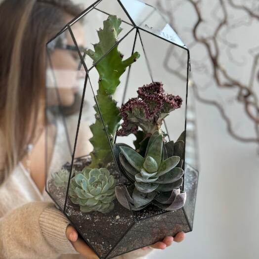 Авторский флорариум XXL