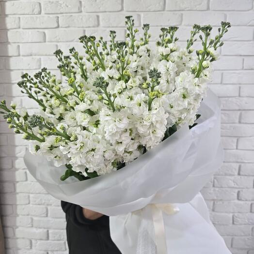 Белая Матиолла