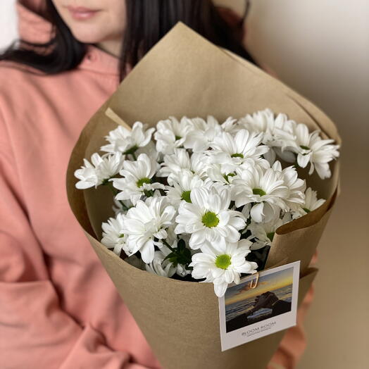 BLOOM ROOM