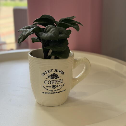 Polyanka 