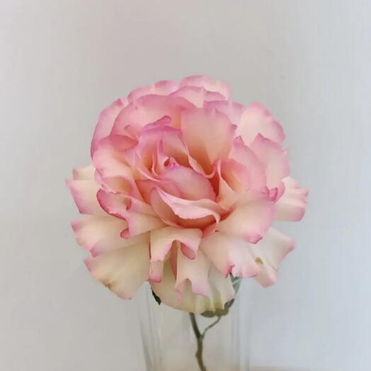 Flowershop