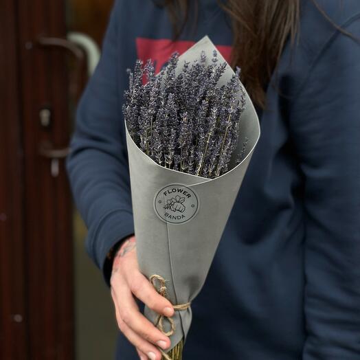 Lavanda S
