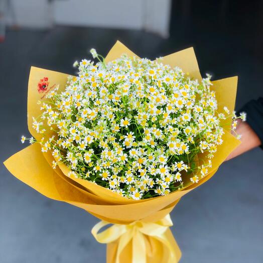 Matricaria Bouquet