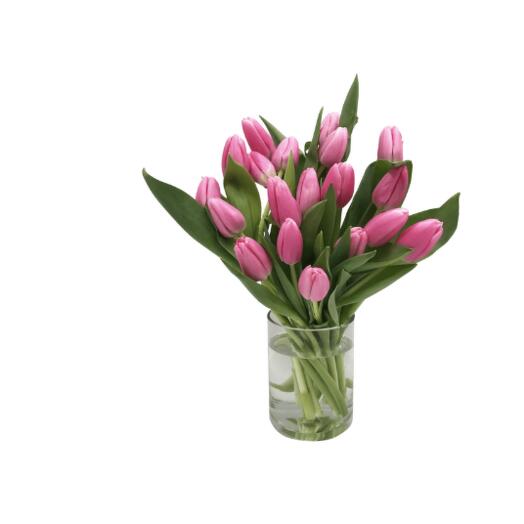 Ramo de 20 tulipanes de colores