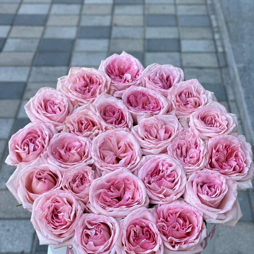 Bloomy Pink Ohara Roses: Fresh, Scented Delight in a Box