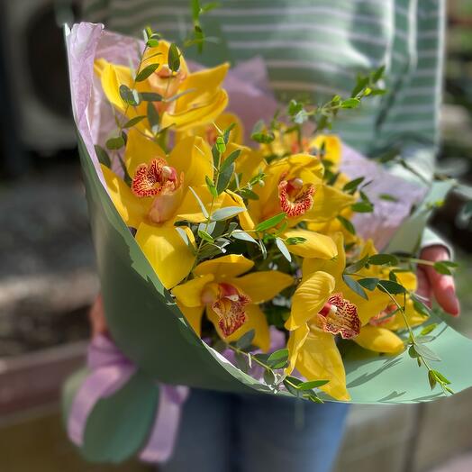 Orquídeas solares