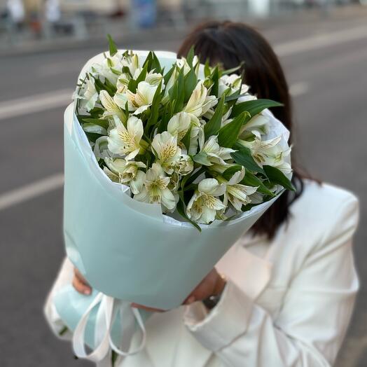 Белая альстромерия