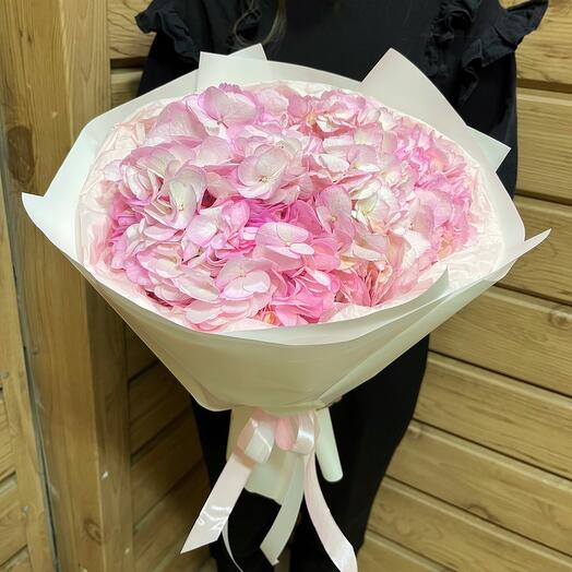 Pink Hydrangea Monobucket