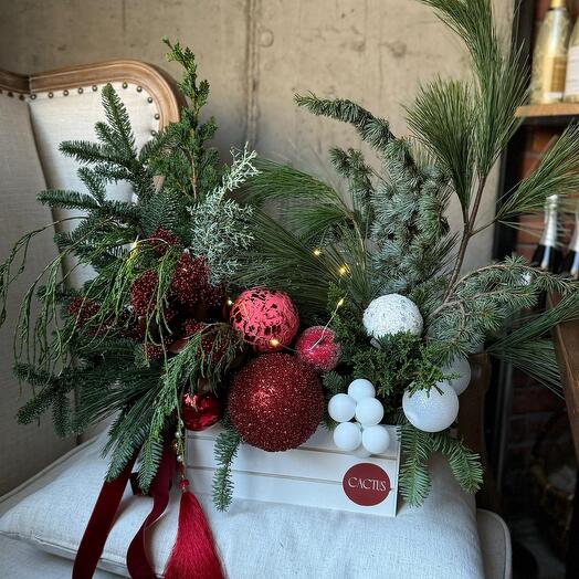 Premium collection Red   White