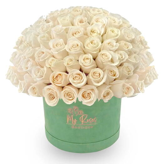 Light Green Velvet Box With 200 White Roses