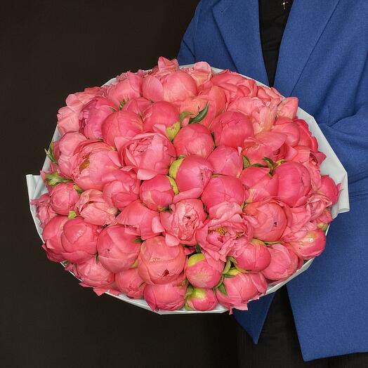 51 пион
