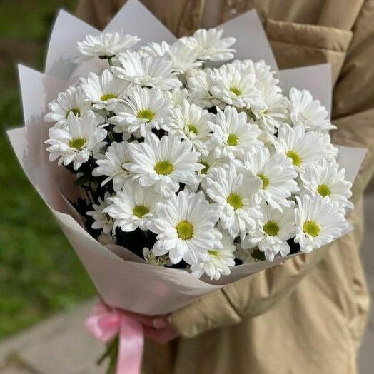 Eres mi Primavera