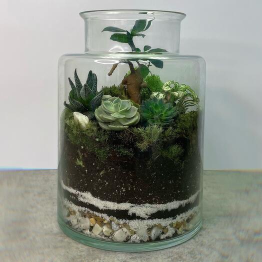 Florarium "sueño Tailandés"