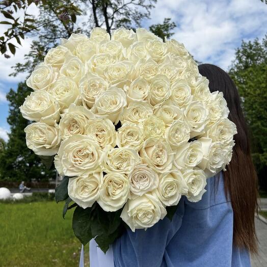Roses "Playa Blanca" Ecuador 60 cm