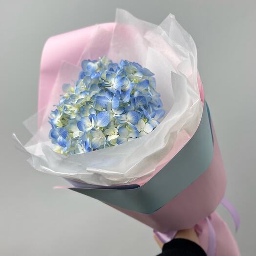 Bouquet of one blue hydrangea