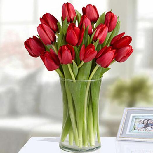 15 Red Tulips