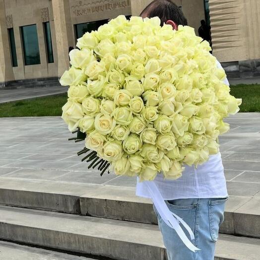 Букет из 101 розы бели  розы