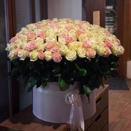 201 White rose and Pink rose in box