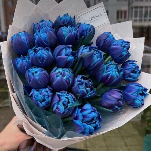 Tulips blue 19 stems