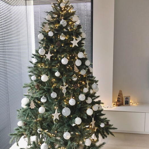 6 Feet Fresh Xmas Tree with Decoration