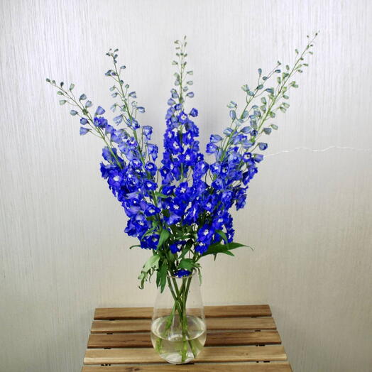 Blue Delphinium Vase