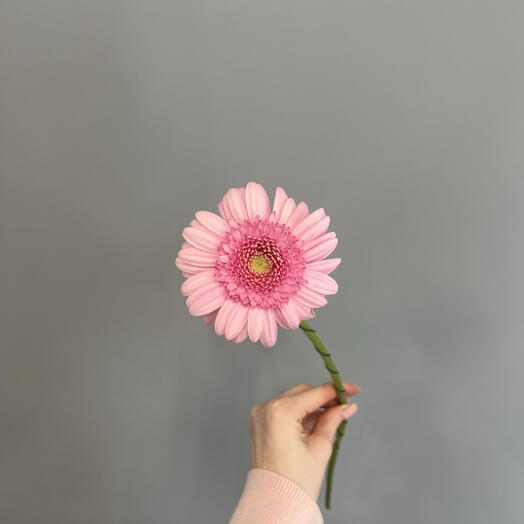DiVaFlowers