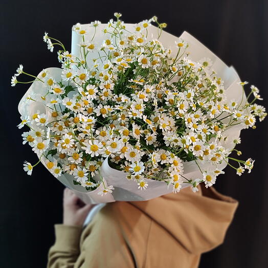 Alex Flower