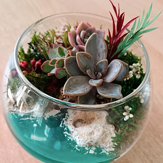 Oasis flora