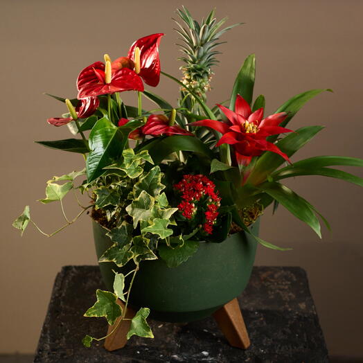 Margoplants Шаболовская 