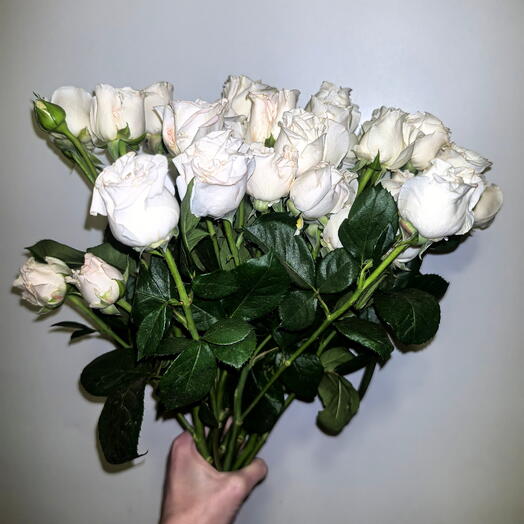 Флокси