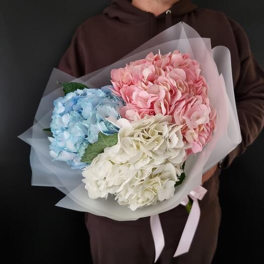 3 mixed hydrangeas