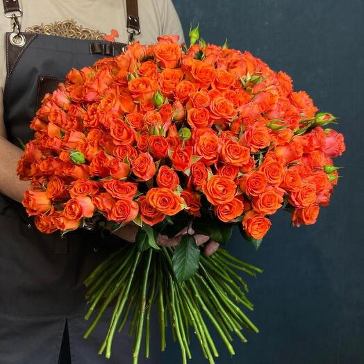 Orange Miracle