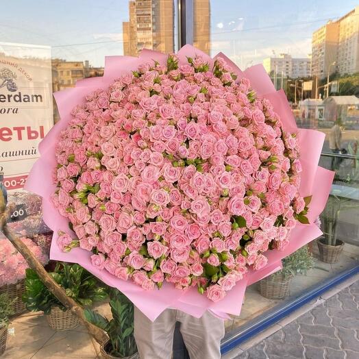 Bush rose 🌹