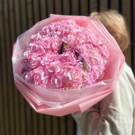 Розовая гортензия