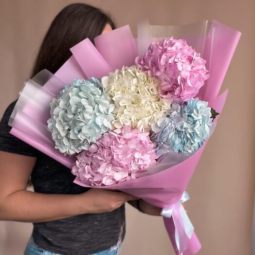Multicolored hydrangeas 5 pieces