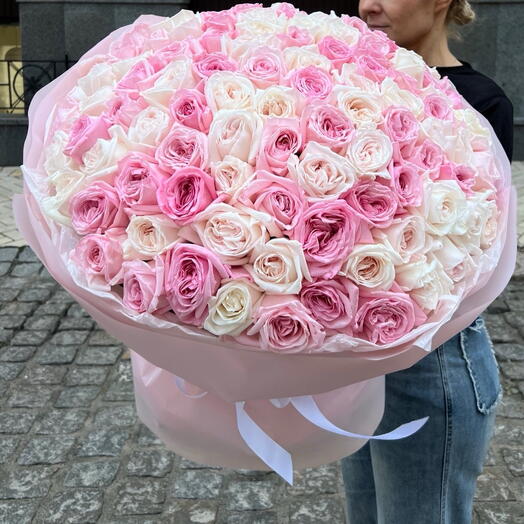 100 Ohara roses (pink and white)