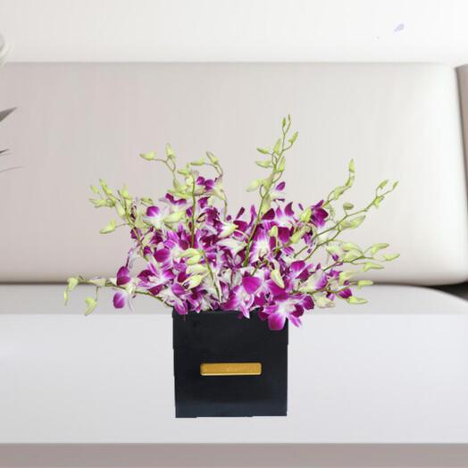 Purple Orchids In Box