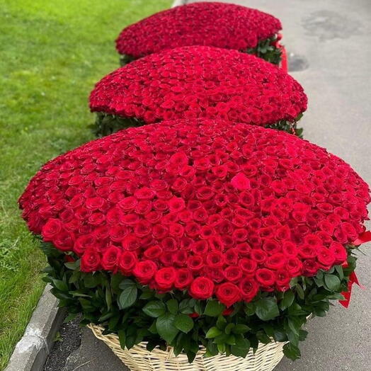 501 Red rose basket