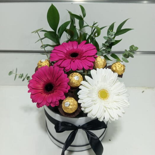 Gerbera with Chocolate