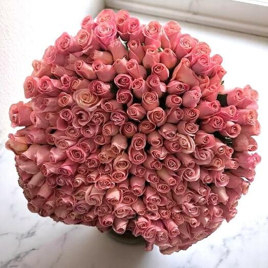 Romance Ros – 149 Long-Stem Dark Pink Roses for Grand Romantic Moments