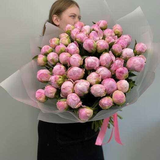Пион 51 штука