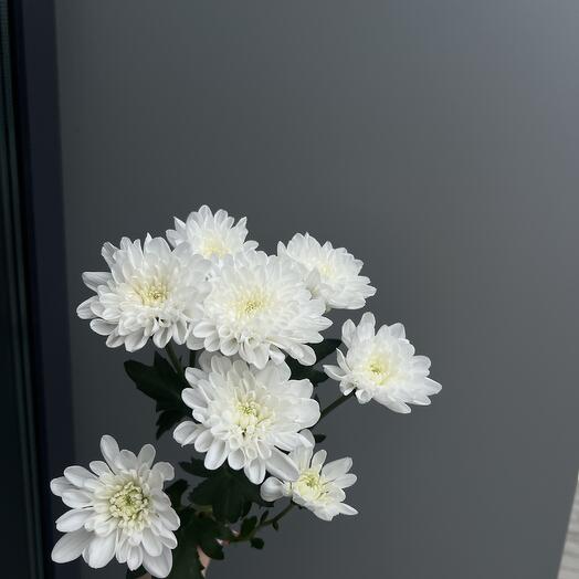 TIFFANY FLOWERS