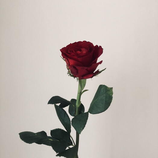 Flower boutique