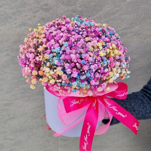 Gypsophila en Caja