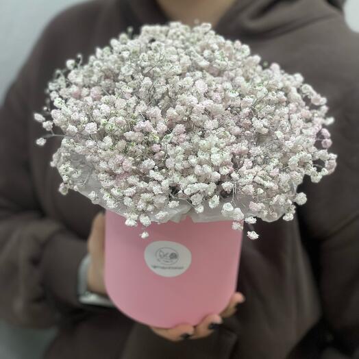 «Арт.33485» гипсофила в коробке